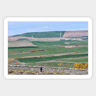 A patchwork of fields on the Mull of Galloway, Scotland Sticker